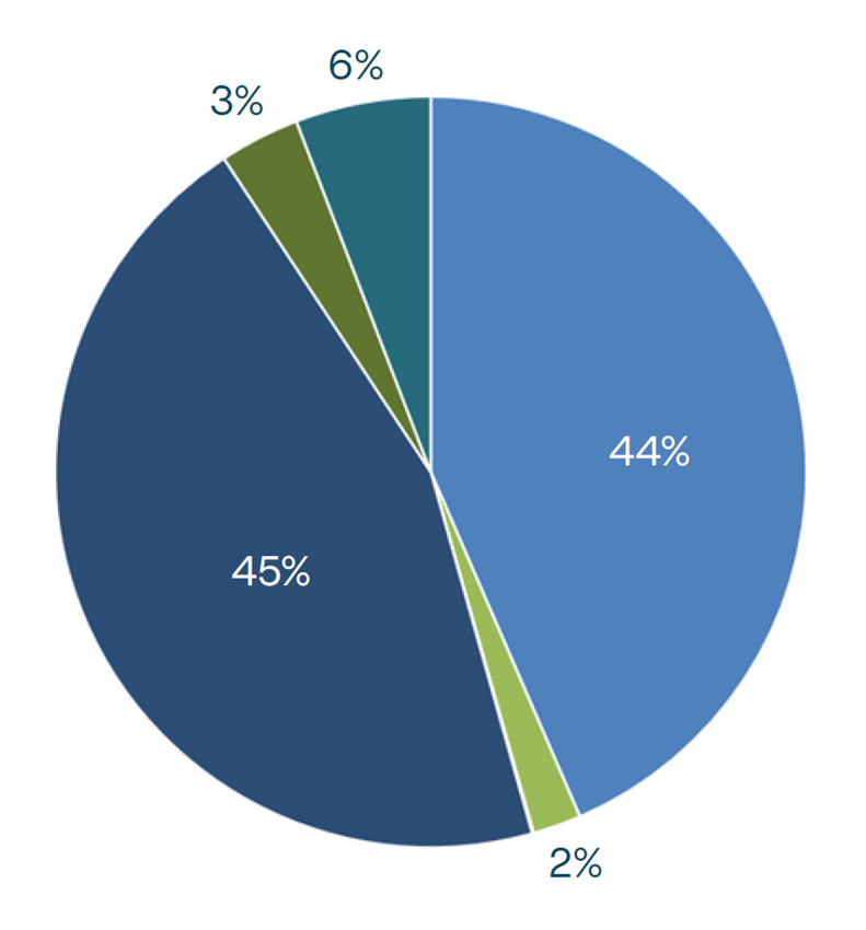 Pie Chart showing Rider Category percentages as outlined in the table